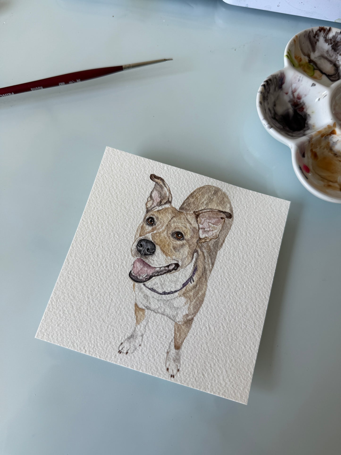 Watercolor Pet Portraits