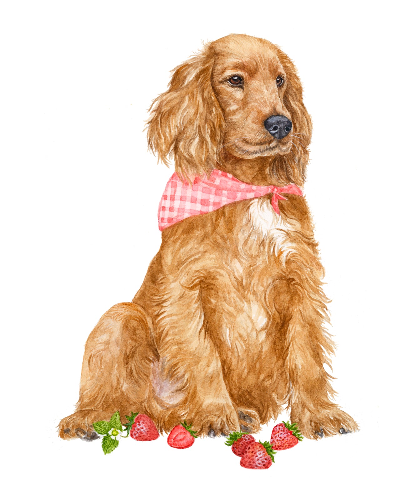 Watercolor Pet Portraits
