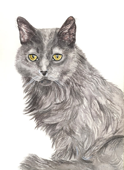 Watercolor Pet Portraits