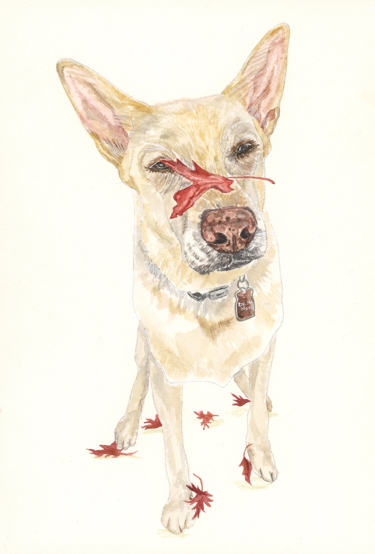 Watercolor Pet Portraits