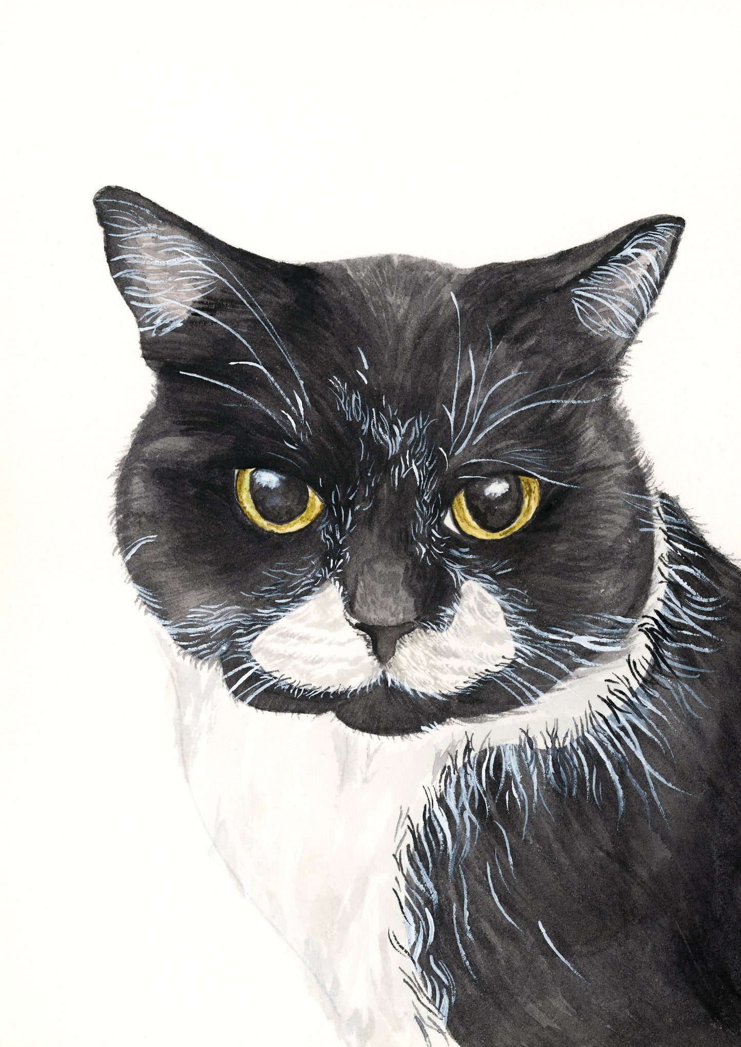 Watercolor Pet Portraits